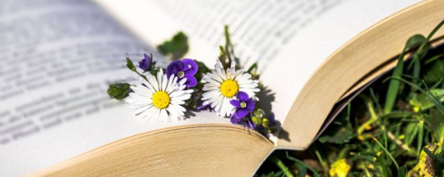 乐观心态的短句阳光正能量(积极乐观阳光正能量的句子)