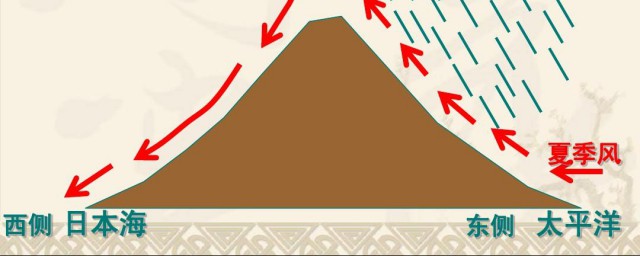夏季风的特点介绍(夏天的风的特点)