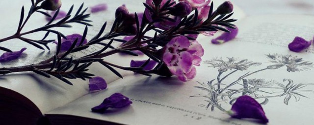 正能量善良有爱心短句(心地善良正能量的句子)