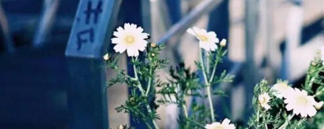 关于阳光信用文案(阳光信用消费偏好文案)