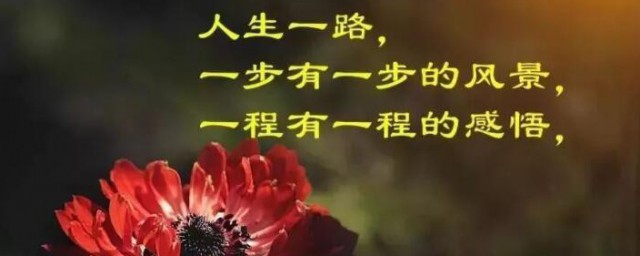 关于一句话能涨很多粉的句子(涨粉句子怎么说)