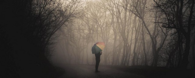 黑暗森林法则意思是什么(黑暗森林法则有道理吗)