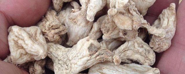 白芨的功效与作用禁忌是什么(白芨的功效与作用点的功效与作用及禁忌)