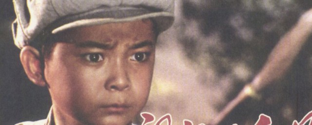 闪闪的红星介绍(闪闪的红星介绍词)