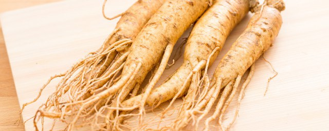 人参根须的用途及禁忌有哪些(人参根须和人参的功效区别)