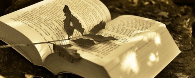 古风诗意唯美名字(5个字古风诗意唯美名字)