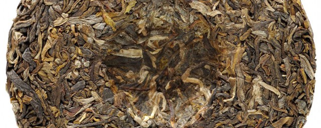 福鼎白茶品种的介绍(福鼎大白茶是什么品种)