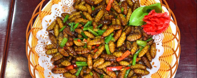 蜂蛹有哪些优点和缺点呢(蜂蛹好还是蚕蛹好)