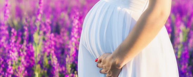 孕妇不可以吃什么食物呢(孕妇可以吃什么不可以吃什么食物)