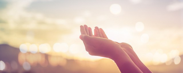 适合回复生日祝福语的句子(回复生日祝福的话怎么说)