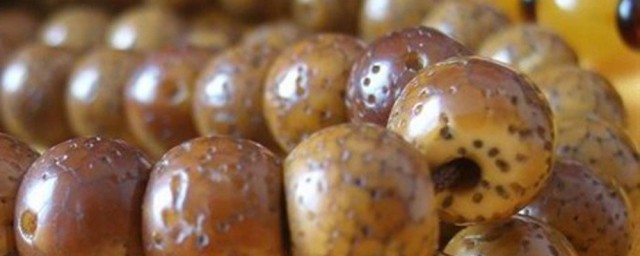 戴星月菩提有啥禁忌(什么人不能戴星月菩提)