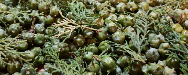 真正柏子香的做法是什么(柏子香的制作过程)