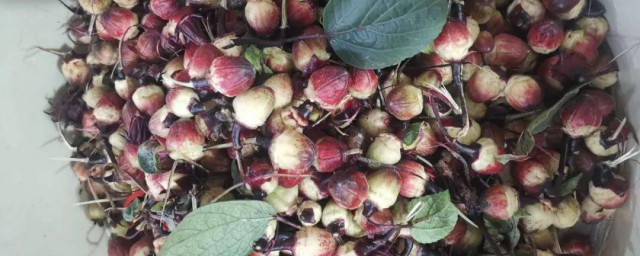 红桃k的功能(红桃k的功能是什么)