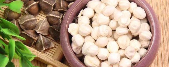 辣木籽的功效与作用及禁忌有哪些(辣木籽的六种功效与作用)