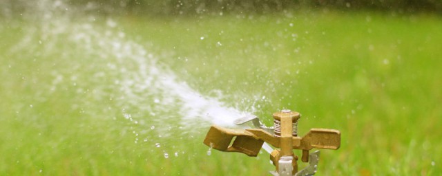 喷的组词的哪些(喷组词组词语有哪些)