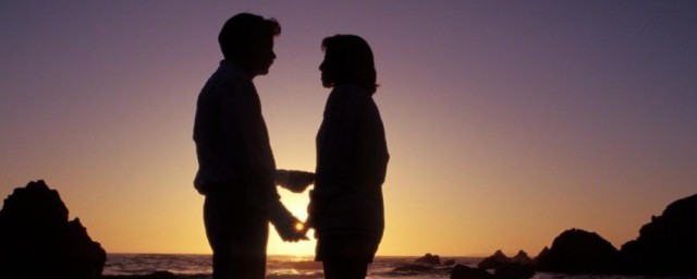 夫妻日简单介绍(夫妻的小日子)