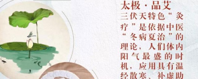 三伏天艾灸是什么(三伏天艾灸有什么作用)