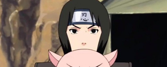 纲手召唤兽叫什么(纲手的通灵兽蛞蝓叫什么)