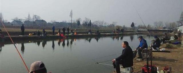 黑坑的意思是什么(黑坑为什么叫黑坑)