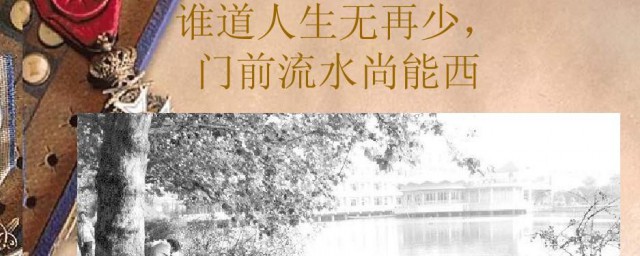 谁道人生无再少用的什么修辞手法(谁道人生无再少表达了作者怎样的思想感情)