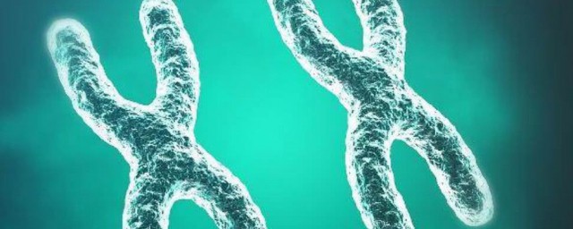 关于染色体的检查(染色体检查你需要知识)