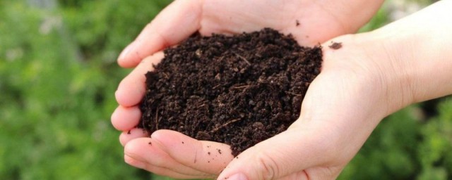 营养土掺土有什么好处呢(营养土掺和多少普通土)