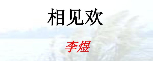 相见欢介绍(相见欢主要内容)
