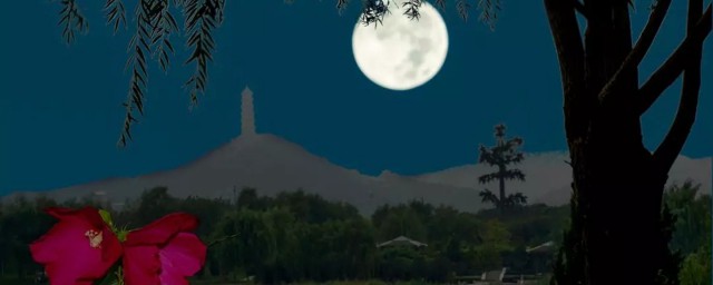 月上柳梢头人约黄昏后什么意思(月上柳梢头,人约黄昏后什么意思?)