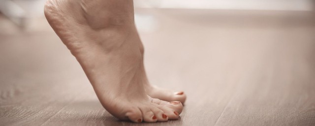 脚尖的拼音是什么(脚尖的拼音怎么拼读)