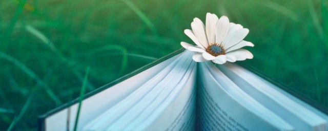 号鸟读音(号鸟的拼音)