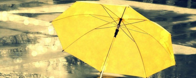 什么是什么的伞是什么意思(伞是什么意思)