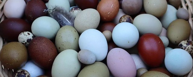 蛋组词有哪些呢(蛋组词怎么组)