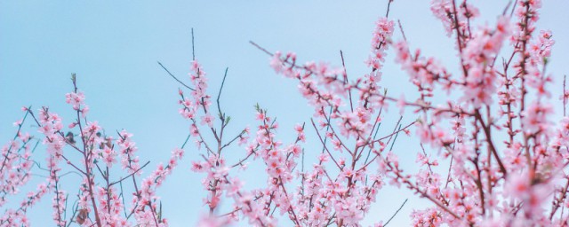 人间四月天什么意思(一身诗意千寻瀑,万古人间四月天什么意思)