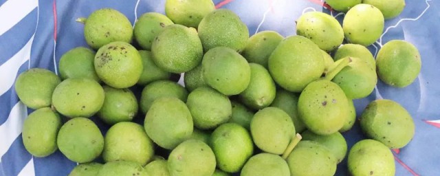 青皮的功效与作用及禁忌(中药青皮的功效与作用及禁忌)