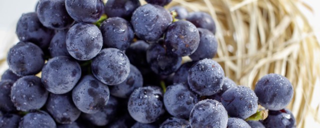 葡萄干有什么功效(醋泡葡萄干有什么功效)