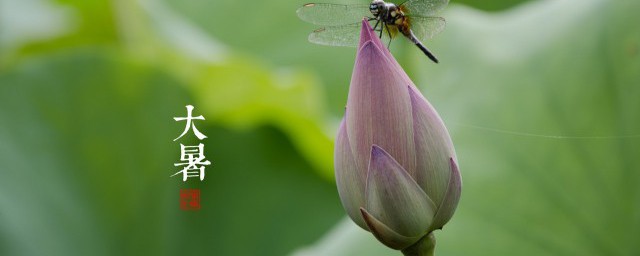 关于大暑的解释(大暑表示什么)