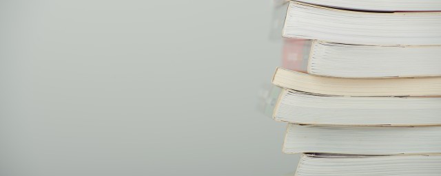 愿景是什么意思(项目愿景是什么意思)