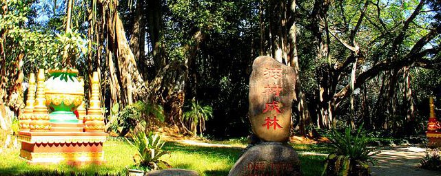 云南瑞丽景点有哪些(云南瑞丽都有什么景点)