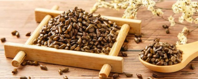 关于决明子的功效与禁忌(决明子的作用与功效禁忌)