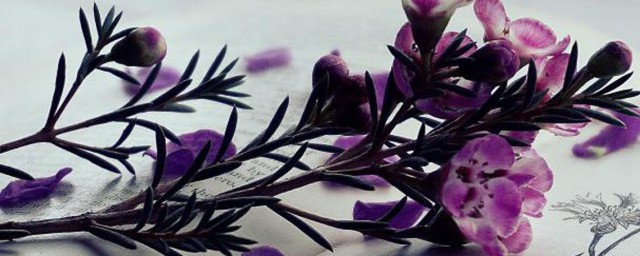 励志早安语录的微博(微博早安语录一句话 爱豆)