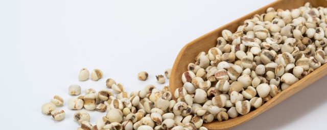 薏米牛奶有什么功效(薏米和牛奶一起喝有什么作用)