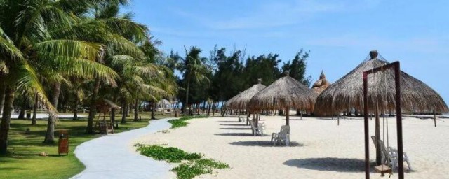 放鸡岛攻略是怎样的(去放鸡岛的路线)