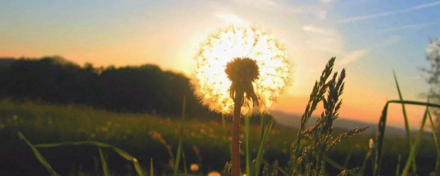 八月发朋友圈的文案句子(八月初朋友圈文案)