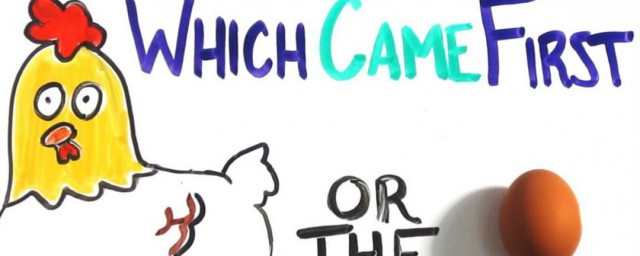 怎么用英语说鸡(鸡怎么说英语怎么说)