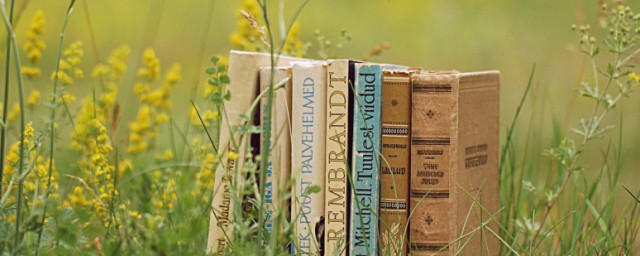 嫉妒怎么读(嫉妒怎么读音)