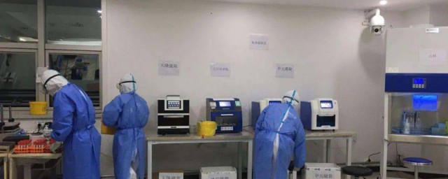 关于重庆做核酸检测多少钱(重庆做核酸检测好多钱)