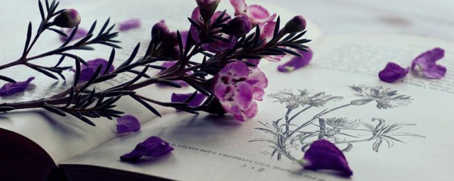 起码的解释(起码字词意思)