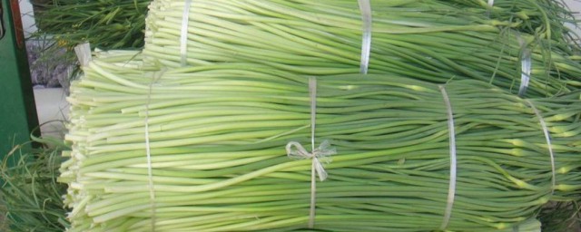 蒜台功效与作用及禁忌有什么(蒜苔的副作用)