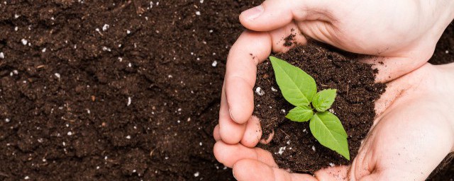 什么是土地收储(什么是土地收储价格)