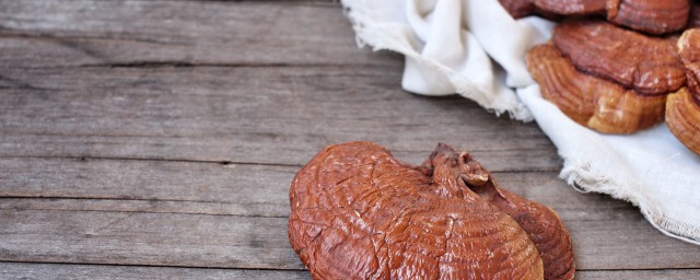 吃灵芝孢子粉有什么禁忌(吃灵芝孢子粉有什么禁忌吗)